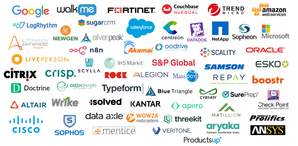 MEDDPICC® customer companies — Google, Salesforce, Cisco, Oracle, AWS, Fortinet, NetApp, and more using MEDDIC Academy training